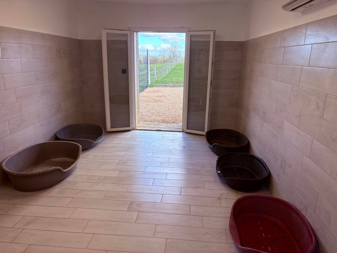 Salle de couchage avec accès direct sur l'extérieur